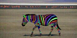 franfranfrn's profile banner image