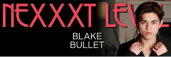 TheBlakeBullet Profile Banner