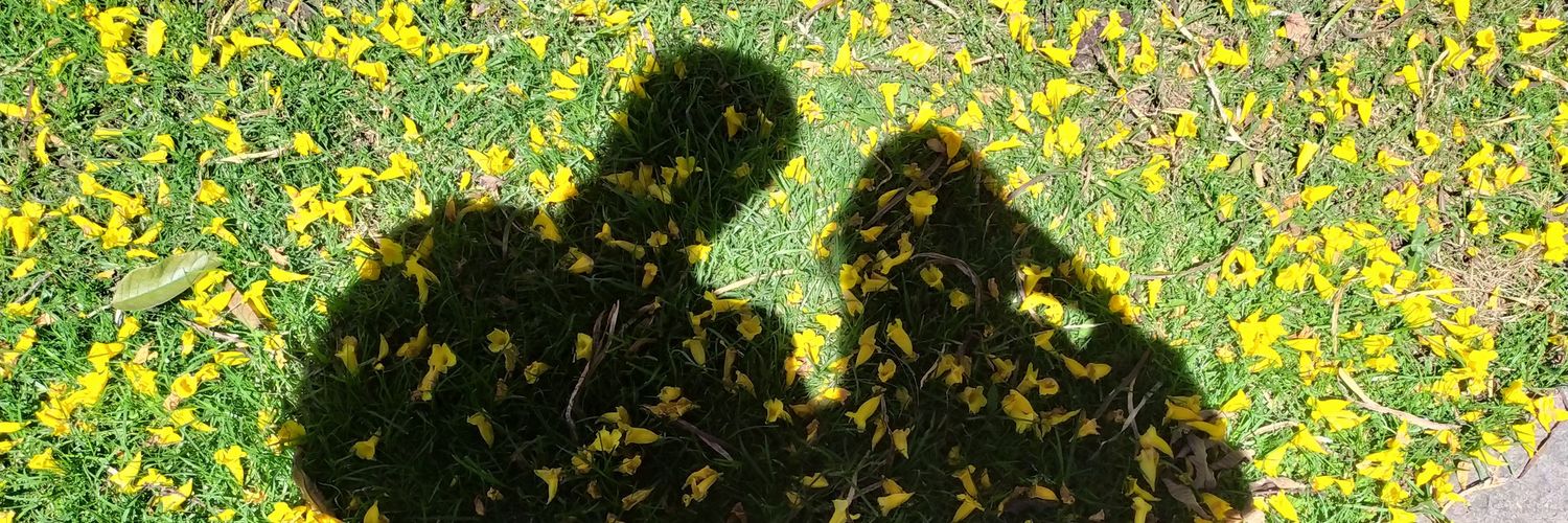jiacontrerasp's profile banner image