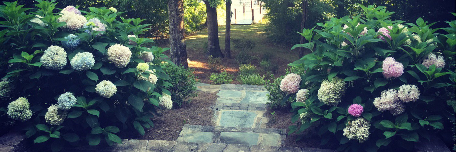 April Jernigan Todd banner