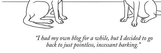 Hossein Alidaee banner