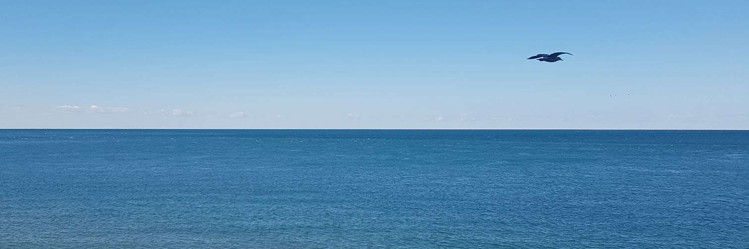 amandaddor's profile banner image
