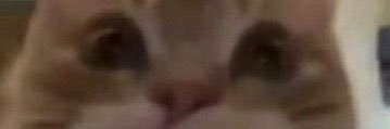 imbrnitto's profile banner image