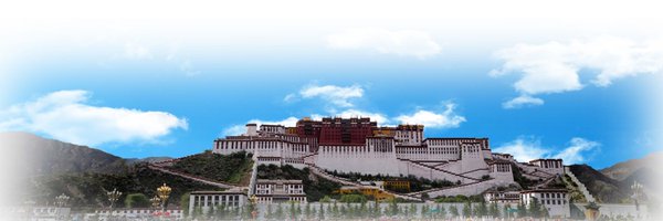 nettibet Profile Banner