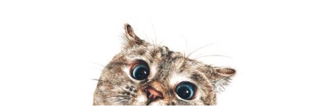 banulus's profile banner image