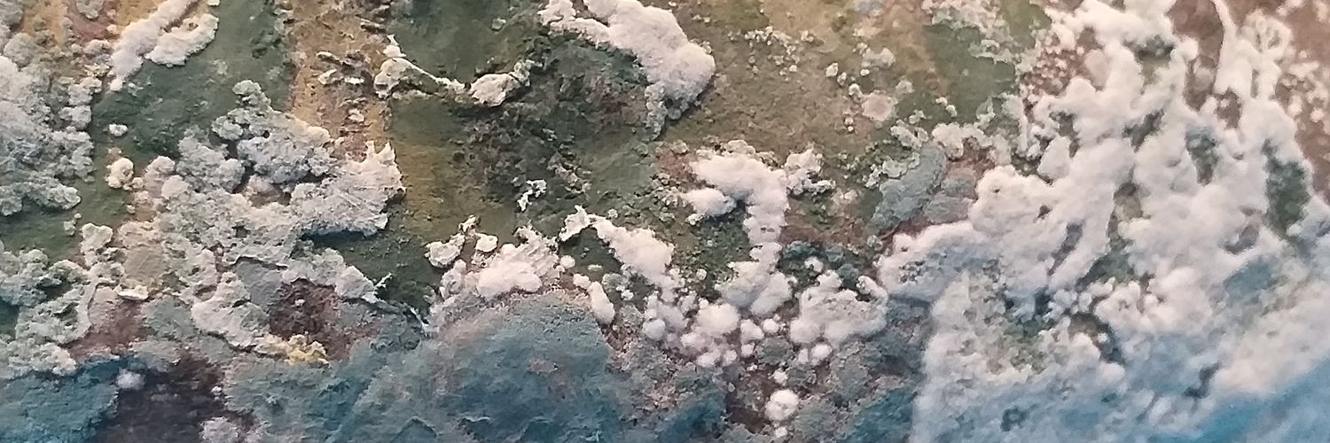 tanifano's profile banner image