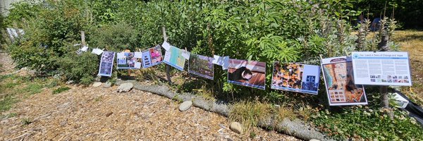 ProDevPlayDates Profile Banner