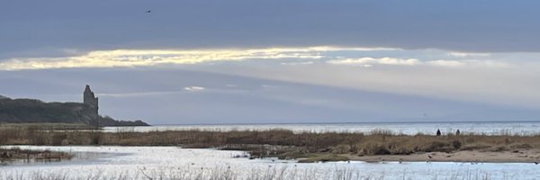 ayelearning Profile Banner