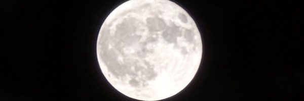 Neuro_musings Profile Banner