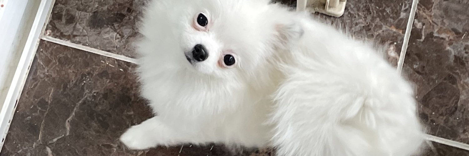 숭이일기's banner