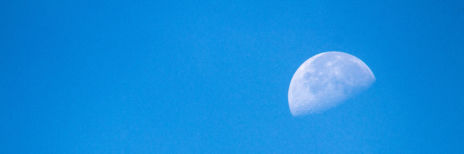 François el Bacha banner