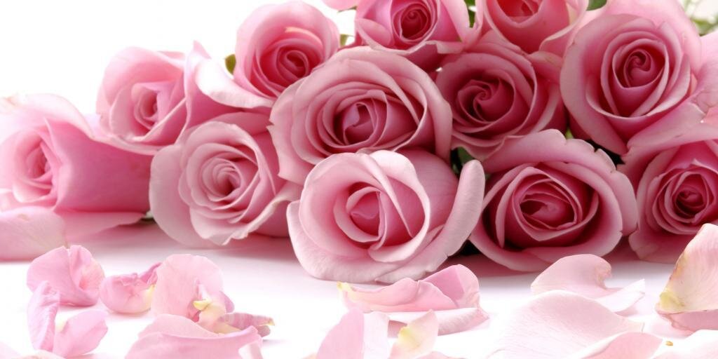 mutiahadidtya's profile banner image