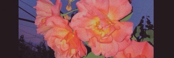 MTRSPRT_ Profile Banner