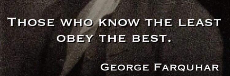 Vercingetorix banner