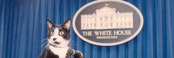 halothyme Profile Banner