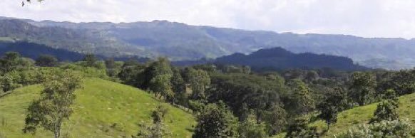DouglasBaeza's profile banner image