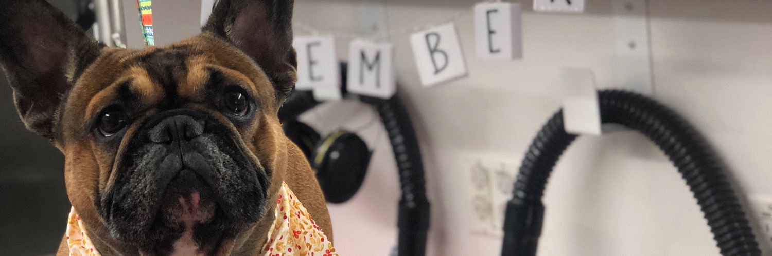 deedeeear's profile banner image