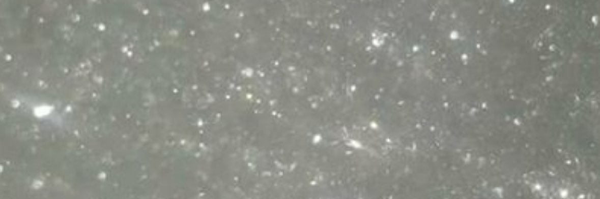 yum banner