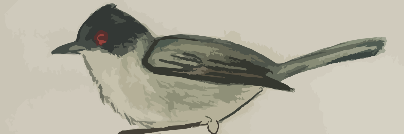 asafbd's profile banner image