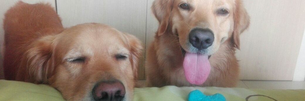 ma_carito's profile banner image