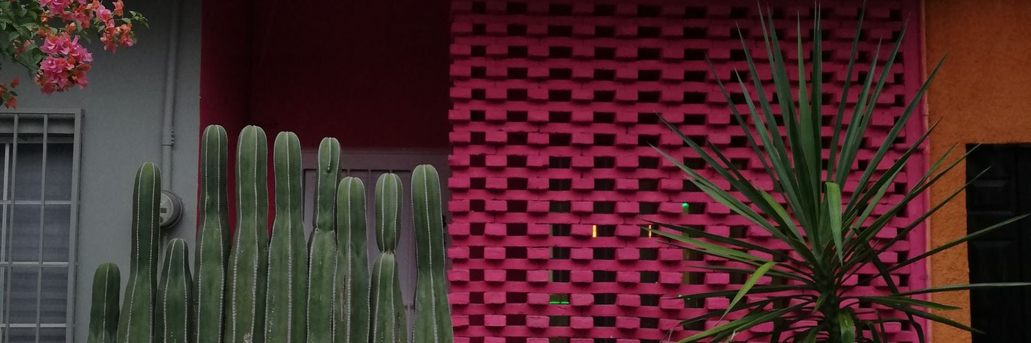 💗 banner