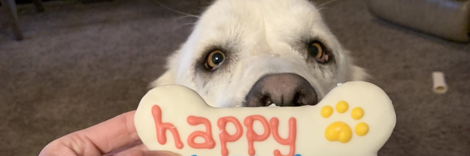 taylorjo20's profile banner image