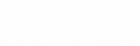 wingwong bingbong banner