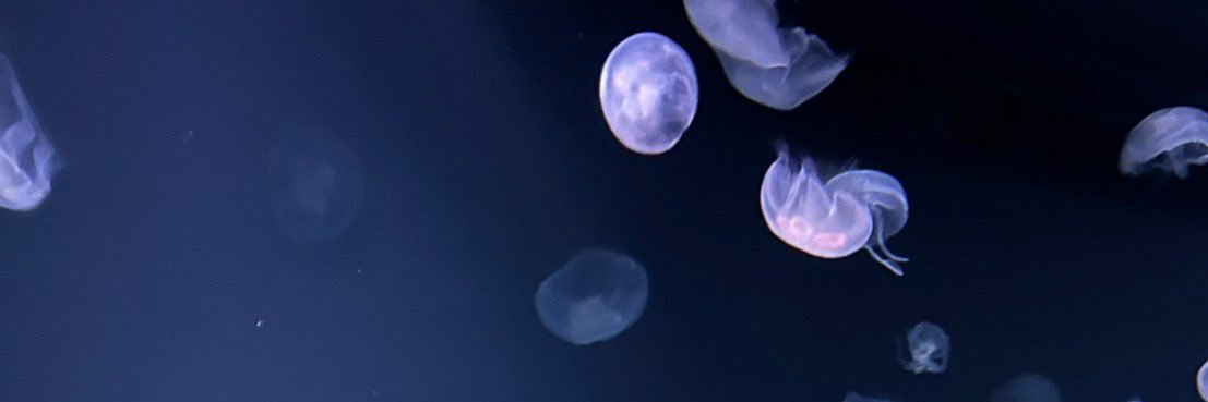 ぽなかすいたや banner