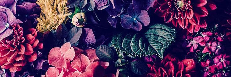 lainaaakate's profile banner image