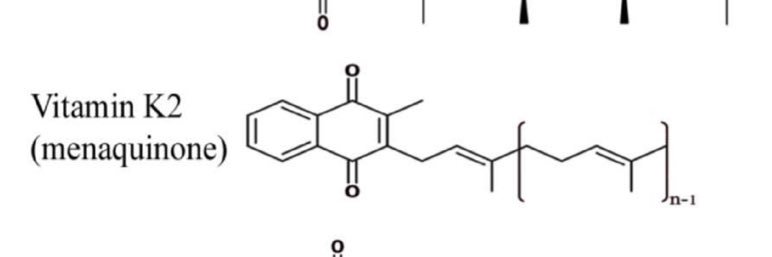 🌊🏄🏻‍♀️🗺️ banner