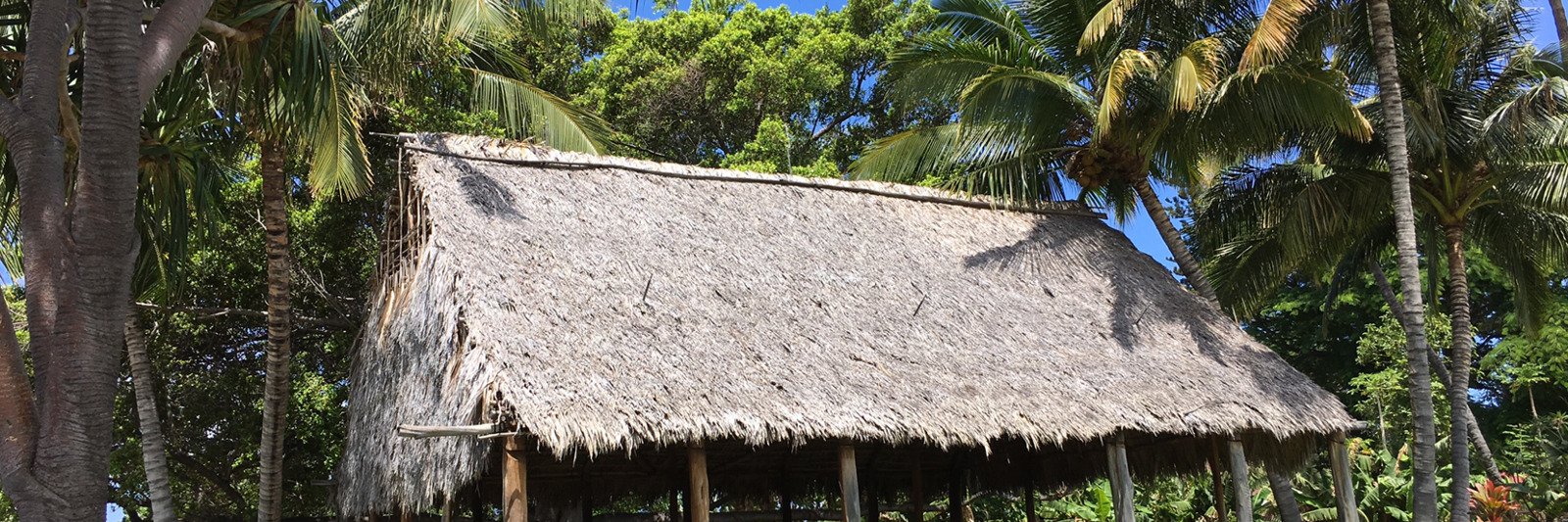 MauiNei's profile banner image