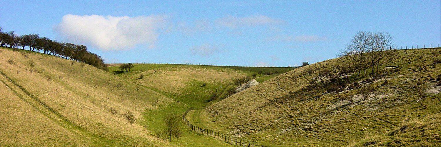 Maureen Brown banner