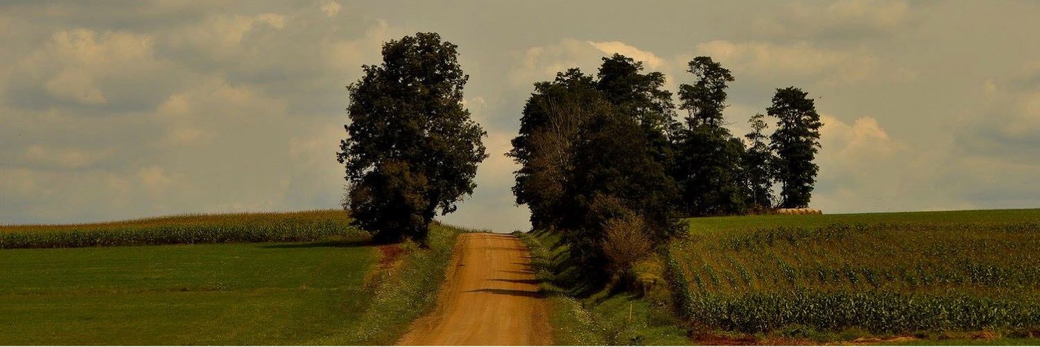 kaitelyynn's profile banner image