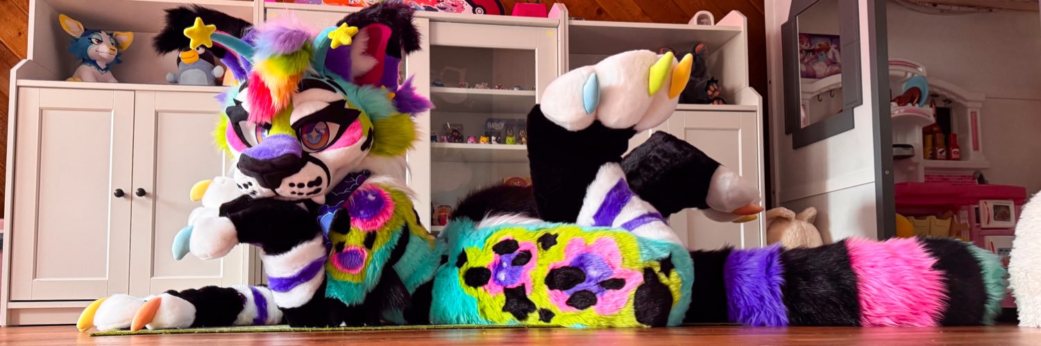 Nova Cat's banner