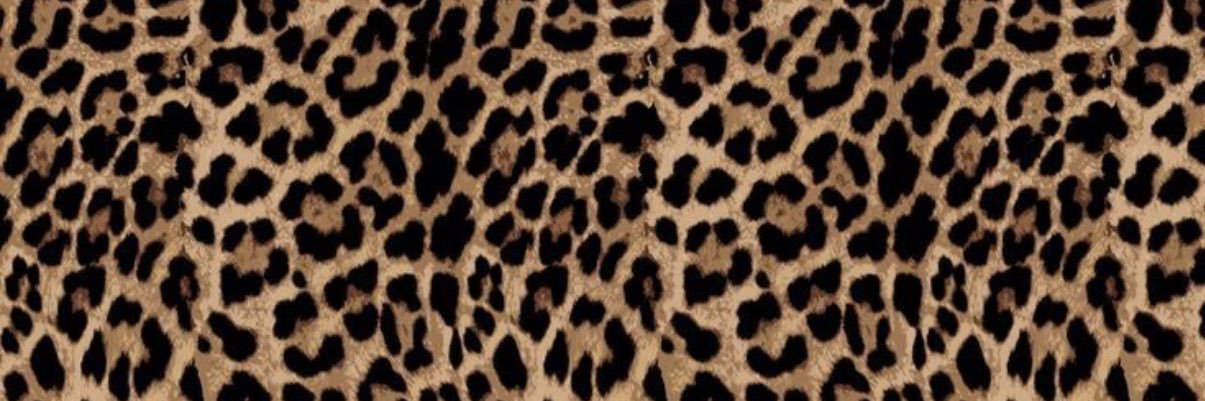 adotty banner