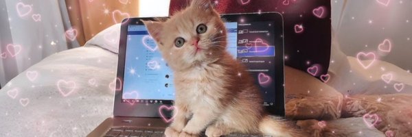 bruhbblebutt Profile Banner
