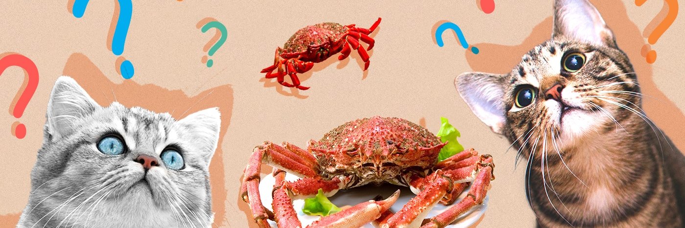 CrabCat_'s profile banner image