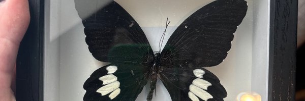 IsopPhe Profile Banner