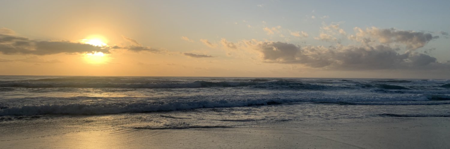 Bex banner