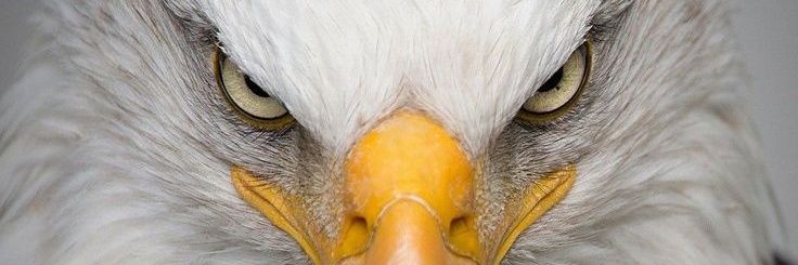 cesarav7's profile banner image