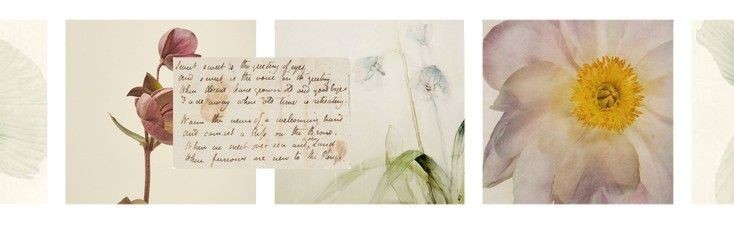 fluffydamsel's profile banner image