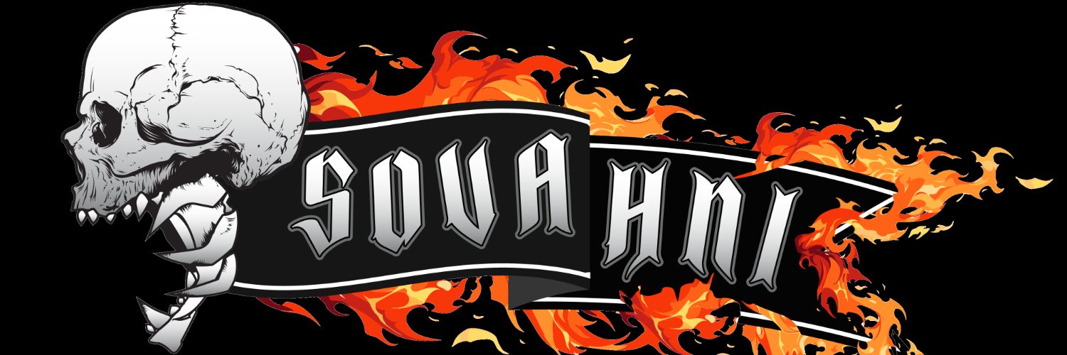 Sovahni 🐉🪰 banner