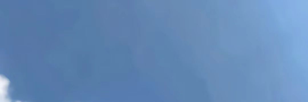 我是精神病 banner