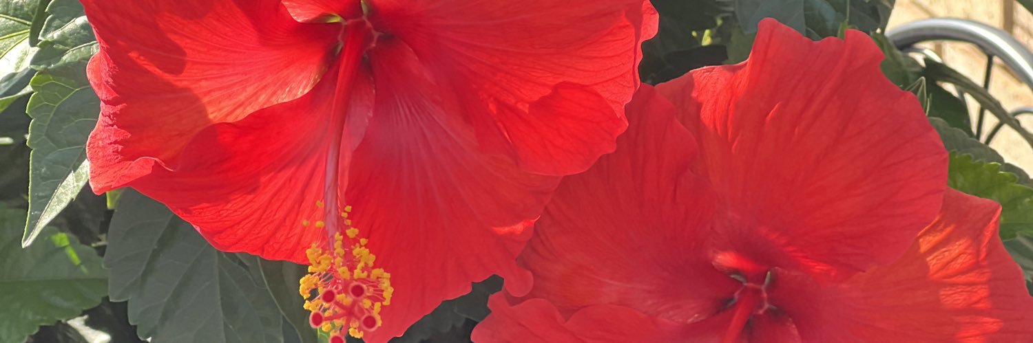 Virgo2185's profile banner image