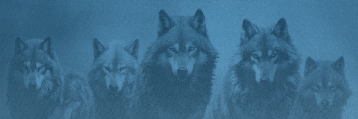 btlr_'s profile banner image