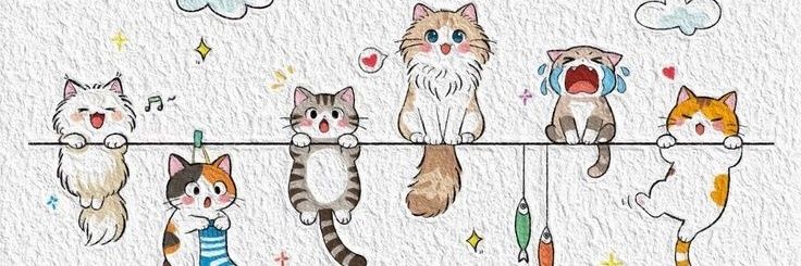 🖤 banner