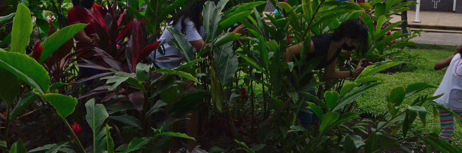xap_mx's profile banner image