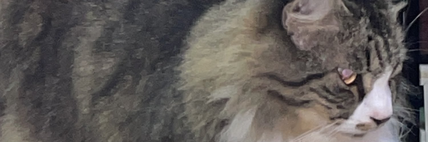 sideofrv banner