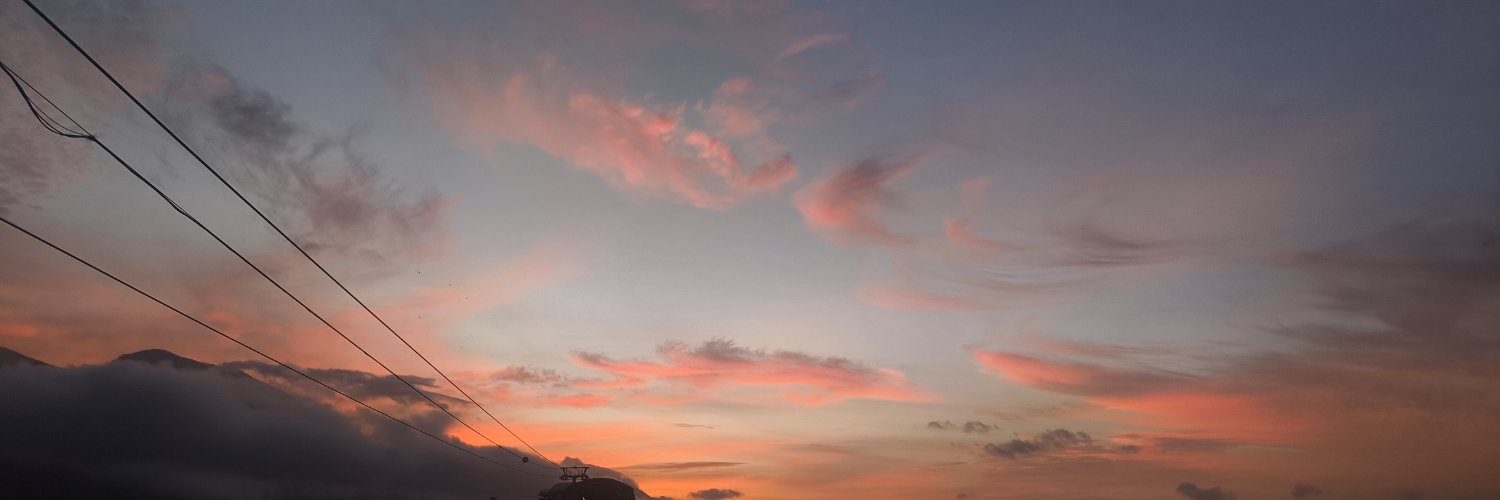 MelNekoMan's profile banner image