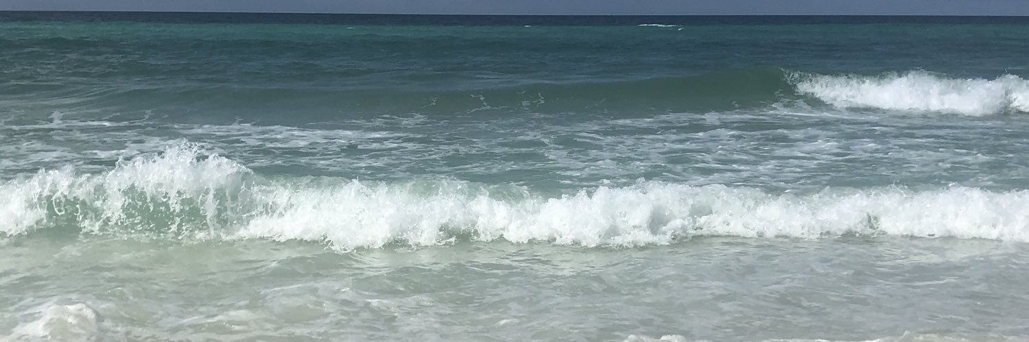 deenariley's profile banner image